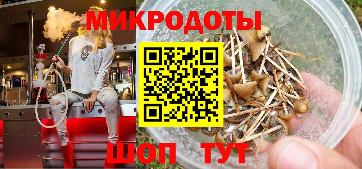 Мурино  Псилоцибиновые грибы мухоморы  Вход с VPN  Галлюциногенные грибы прущие грибы 