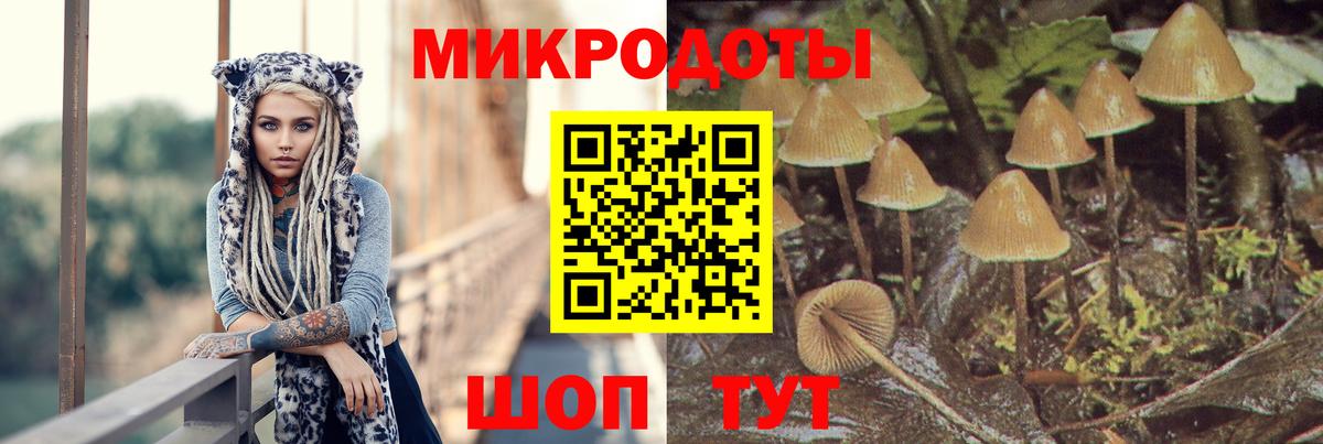 Галлюциногенные грибы мицелий Мурино